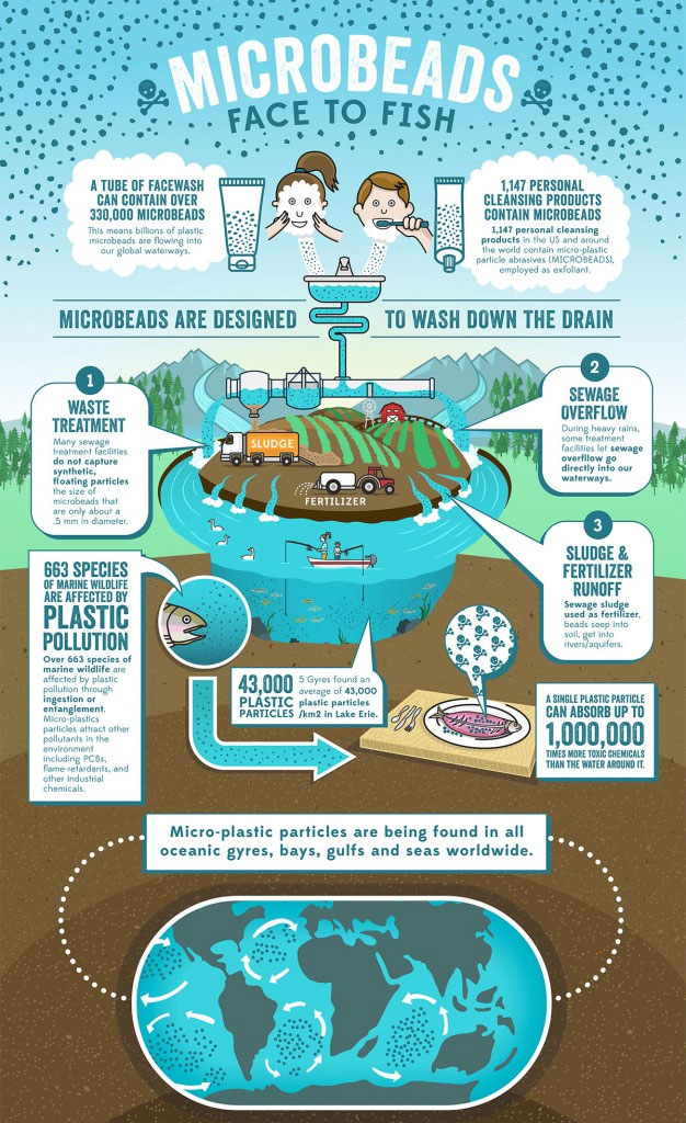 5 Gyres Infographic