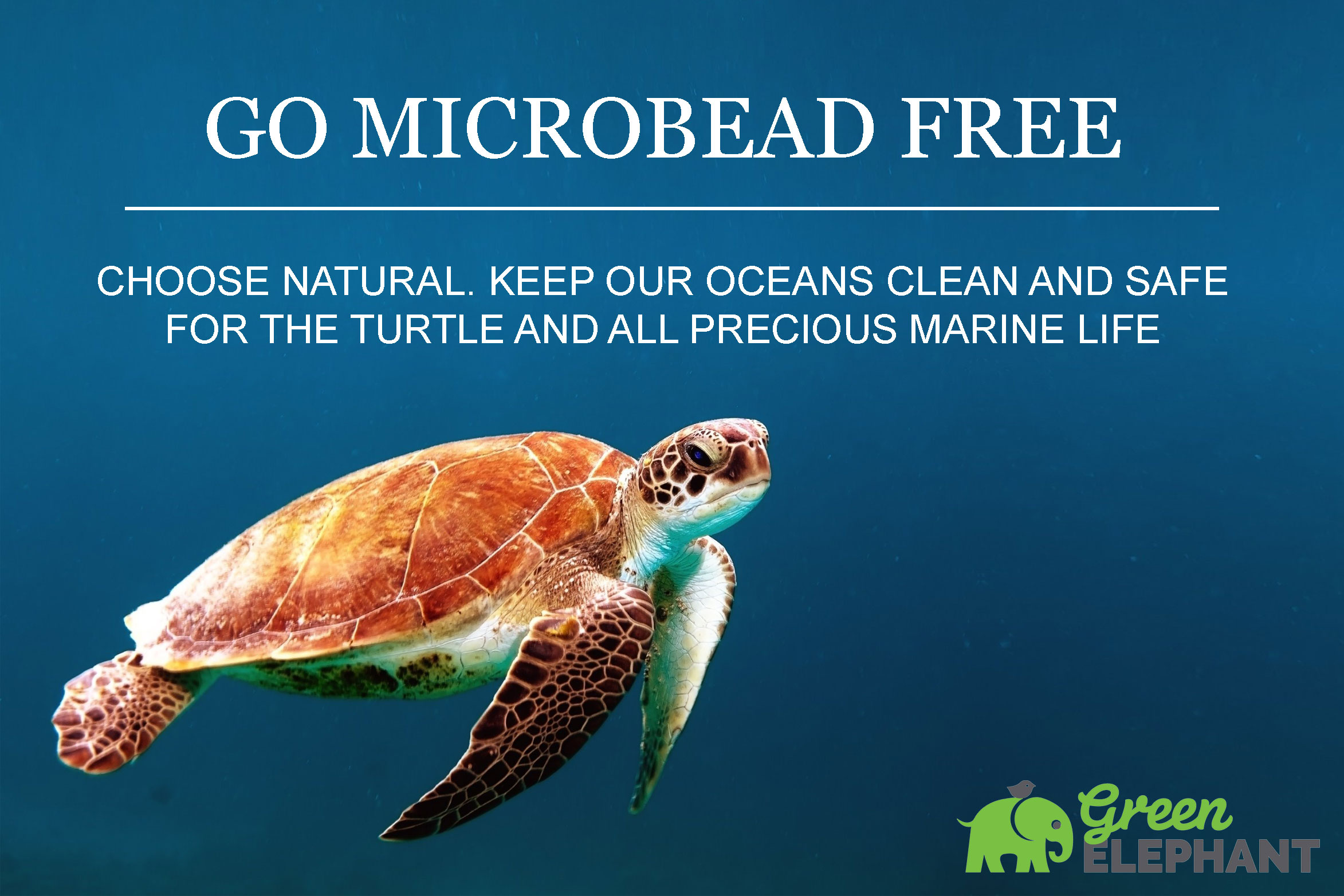 Go Microbead Free Turtle