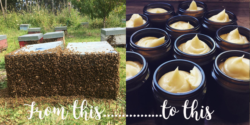 Bee hives to Honey Pot