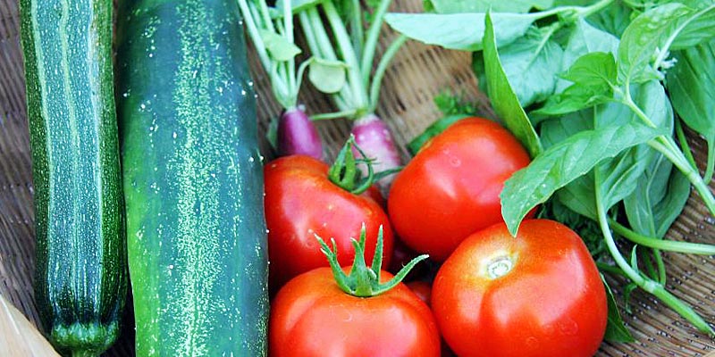 Selection of Organic Vegetables in a Basket
