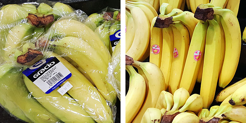 Bananas wrapped in plastic or just a bunch