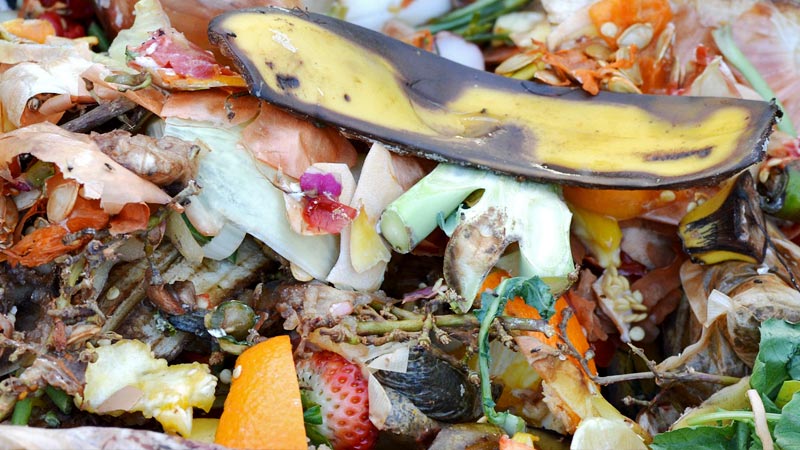 Reduce Food Waste on Compost