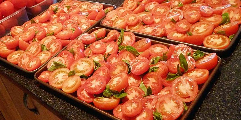 Seasoned prepped tomatoes for tomato sauce recipe