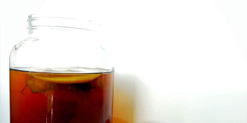 Kombucha fermented tea drink