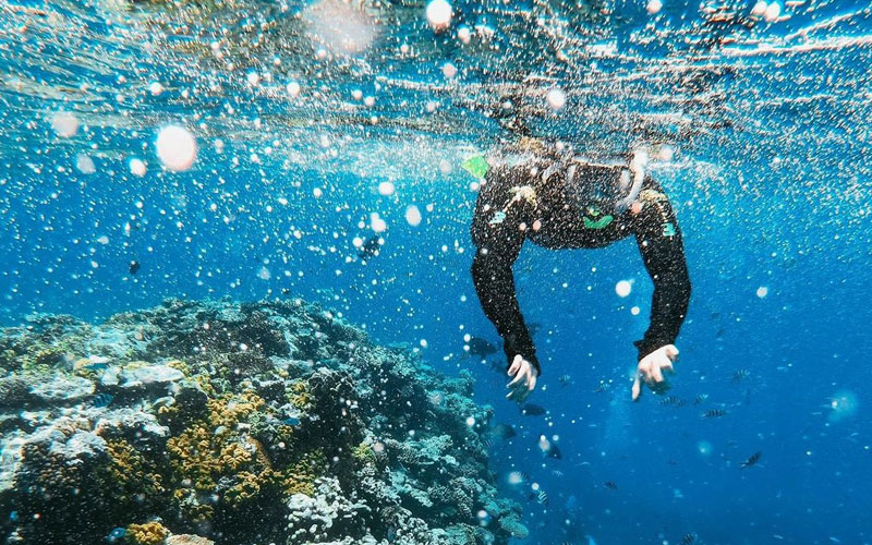 Natalie Diving