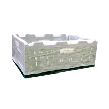 ED-8024 Degradable Produce Crate Liners - Carton