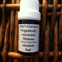Mimosa absolute 5ml
