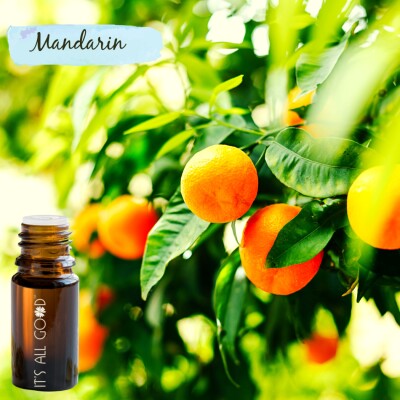 Mandarin Essential Oil (Certified Organic) 10ml Image
