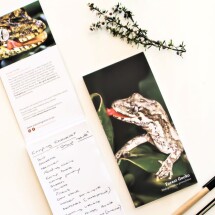 Forest Gecko Notepad