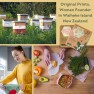 BeesWax Wraps Organic  Reusable Food Wraps Honey Bee Image