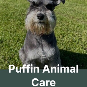 Puffin Animal Care Store Photo